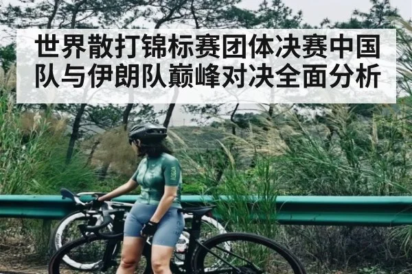 世界散打锦标赛团体决赛中国队与伊朗队巅峰对决全面分析
